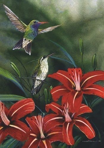 Hummingbird Pair Flag | Bird, Floral, Summer, Decorative, Flags