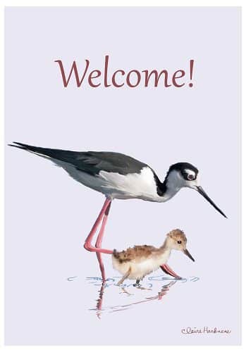Stilt Flag | Welcome, Cool, Discount, Decorative, Clearance, Flags