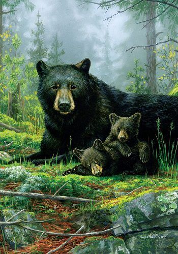 Three Bears Flag | Animal, Wildlife, Spring, Decorative, Cool, Flags