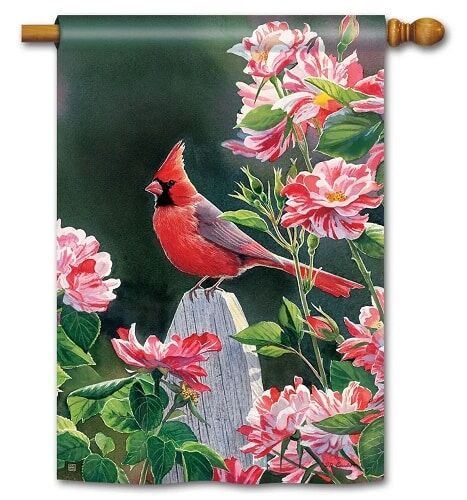 Cardinal with Variegated Roses House Flag | Bird Flags | Yard Flag