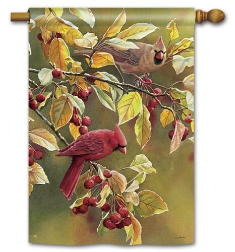 Cardinal Afternoon House Flag | Fall, Bird, Outdoor, House, Flags