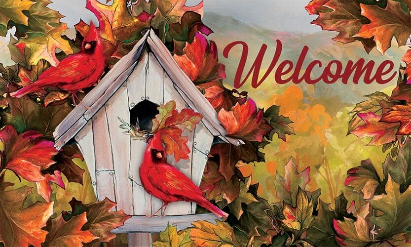 Cardinal Birdhouse Doormat | Decorative Doormats | MatMates