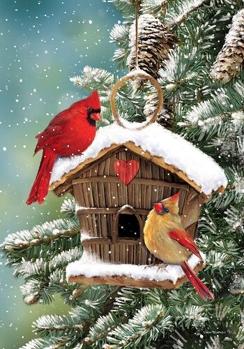 Cardinal Birdhouse Flag | Winter Flags | Bird Flags | Cool Flags