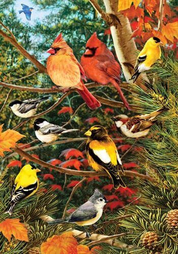 Songbirds on Pine Flag | Bird, Fall, Decorative, House, Lawn, Flags