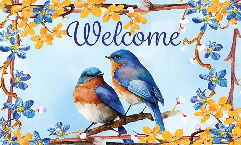 Lovely Bluebirds Doormat | Decorative Doormats | MatMates