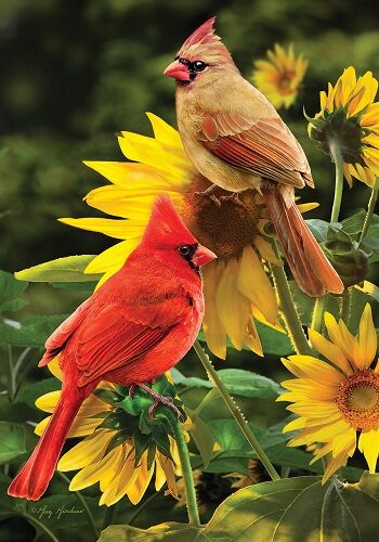 Cardinals Flag | Spring Flags | Bird Flags | Summer Flags