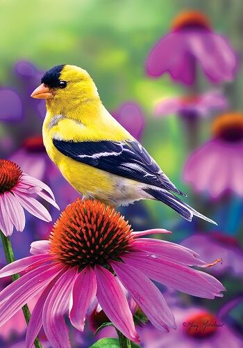 Goldfinch Glory Flag | Spring Flags | Bird Flags | Summer Flags