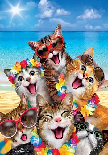 Beach Kittens Flag | Summer, Beach, Animal, Decorative, Flags