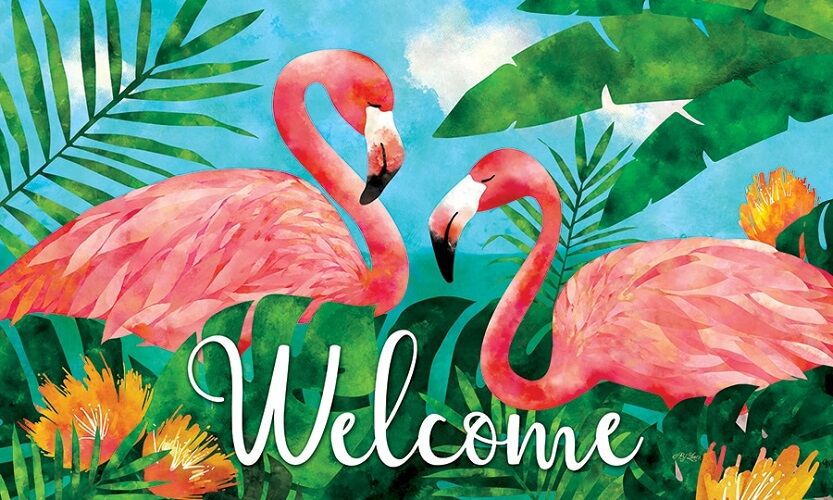 Flamingos Doormat | Decorative Doormats, MatMates, Doormats