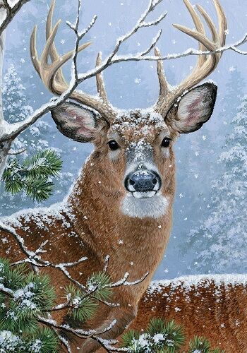 Winter Whitetail Flag | Winter Flags | Animal Flags | Cool Flags